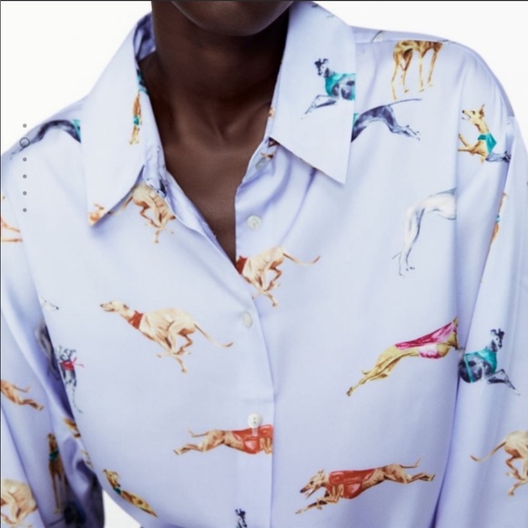 Zara | Tops | Nwt Zara Satin Blouse Dog 